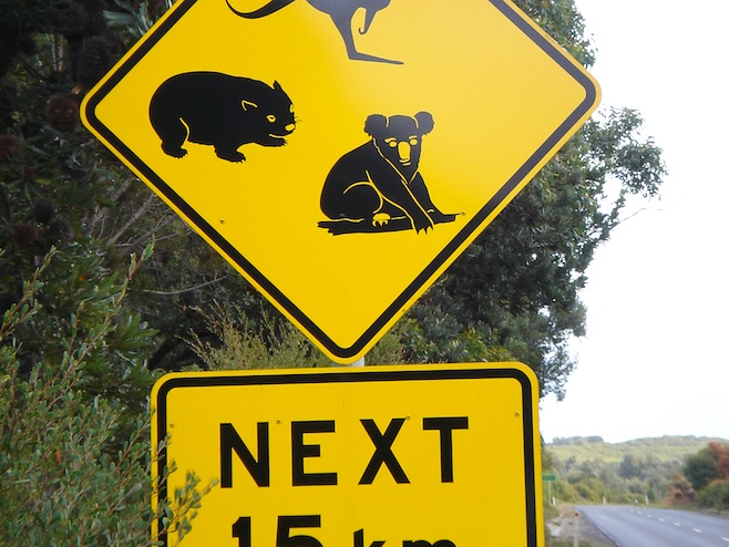 Road Sign
